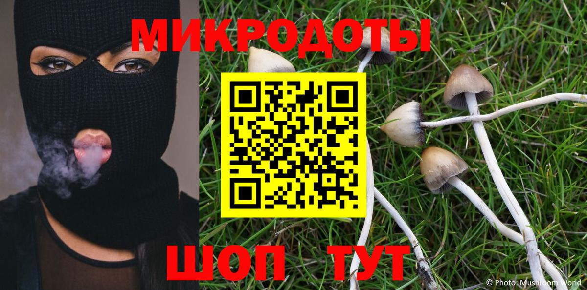 Псилоцибиновые грибы Psilocybe Шали